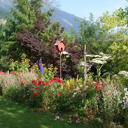 Bed & Breakfast Haus Kasimir *